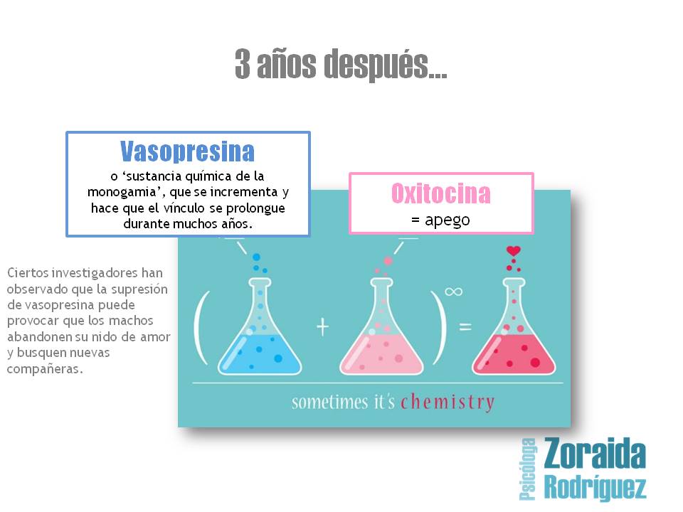 quimica_del_amor_vasopresina